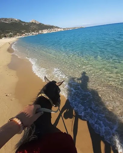 Women Horse Balades Cheval / Poney, Cours, Debourrages, Pensions Travails Et Attelages, Centre Equestres à Taglio-Isolaccio
