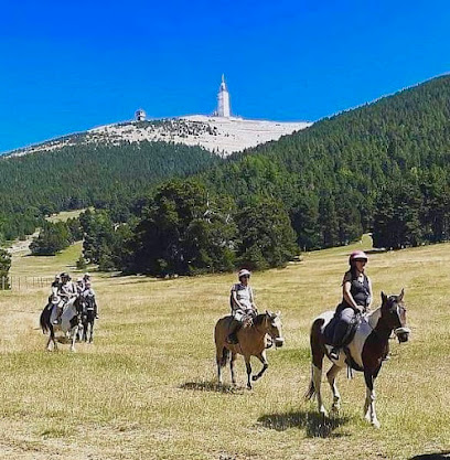 Les Crinières Du Mont Ventoux, Centre Équestre à Malaucène