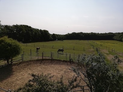 Ferme Équestre l'Échappée Belle, Pension pour Chevaux à Champignelles