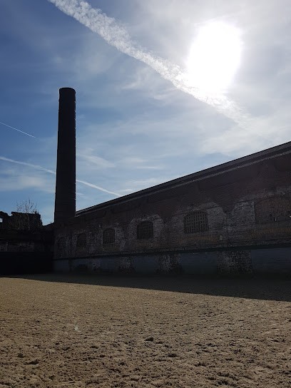 Ecuries Du Néflier écurie de Propriétaires, Pension pour Chevaux à Mortagne-du-Nord