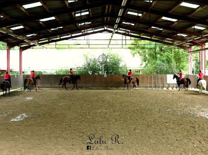 Equestrian Ecole Scheidstein, Centre Equestres à Illkirch-Graffenstaden