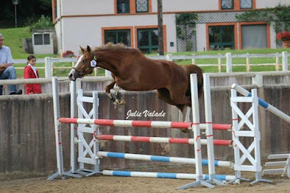 Haras Du Rieu/La Serre Pension Pour Chevaux à Saint-Thibéry