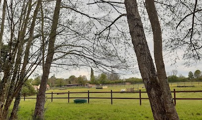 Ecurie Des 'TOU - Touboulic Tristan, Pension pour Chevaux à Saint-Augustin