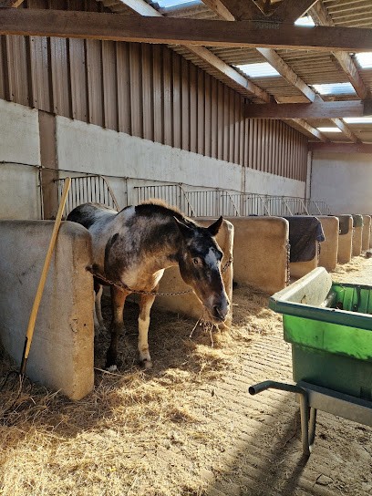 Equestrian Club De Pont L'abbé, Centre Equestres à Pont-l'Abbé