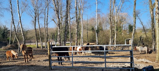ECURIE DES GRANDS PINS, Centre Equestres à Plouhinec