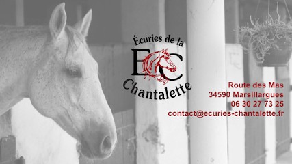 Écuries De La Chantalette, Centre Equestres à Marsillargues