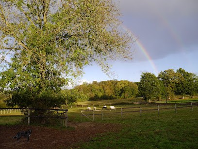 Terres d'Ararat, Centre Equestres à Lanhélin