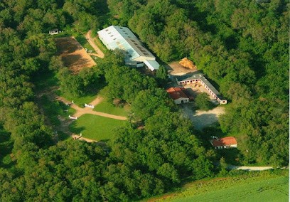 CENTRE EQUESTRE DE STE GEMME LA PLAINE, Centre Equestres à Sainte-Gemme-la-Plaine