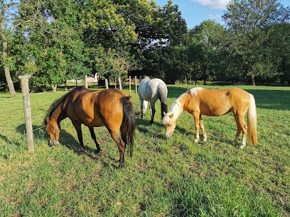 Les Poneys De Parpeville, Centre Equestres à Parpeville