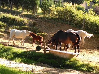 L'ECRIN D'EDEN, Centre Equestres à Saint-André-en-Royans