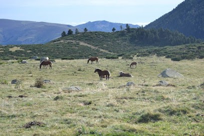 Le Ranch du Madres, Centre Equestres à Roquefort-de-Sault