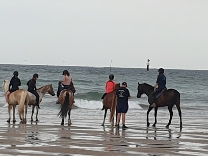 Etrier De La Plage, Centre Equestres à Ouistreham