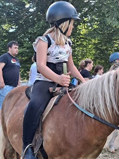 Les Ecuries Du Moulin, Centre Equestres à Écluzelles