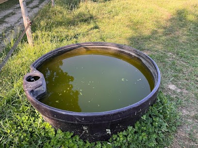 Mon Cheval au Château, Pension pour Chevaux à La Haye-Malherbe