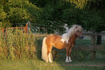 FERME DE L'OREE DU BOIS, Pension pour Chevaux à Metzeresche