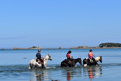 Ferme équestre La Haie Du, Centre Equestres à Saint-Hernin