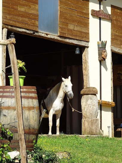 Ferme équestre Tashunka Town, Centre Equestres à Lacropte