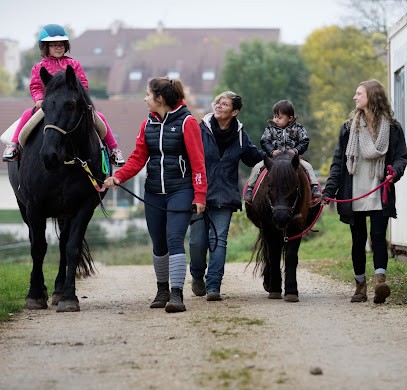 EQUI-SENS EQUI-SENS HANDI CHEVAL BFC, Centre Equestres à Chenôve