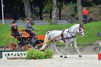 Pole Equestre Du Compiégnois, Centre Equestres à Compiègne