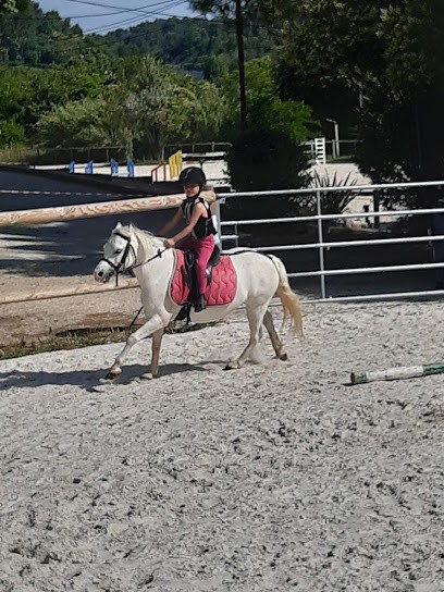ST GEORGES EQUITATION, Centre Equestres à Grabels