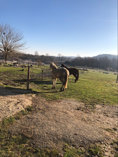CE Equit Libre, Centre Equestres à Saint-Aubin-de-Branne