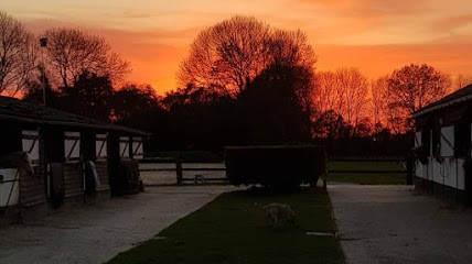 Haras De Firfol, Pension pour Chevaux à Firfol