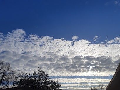 HARAS des BéGOR, Pension pour Chevaux à Macau