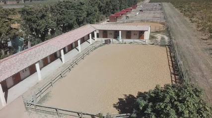 Les écuries Nicolas D, Pension pour Chevaux à Uchaux