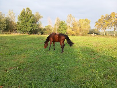 Ecurie Equidestin, Pension pour Chevaux à Serviers-et-Labaume