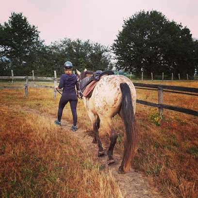 PARIGNE CHEVAL AVENTURES, Centre Equestres à Parigné-l'Évêque