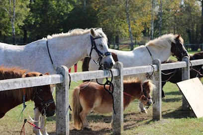 Pony Club Vénerieu, Centre Equestres à Vénérieu