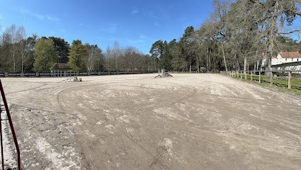 Écuries Alpha Pegasi, Pension pour Chevaux à Noisy-sur-École