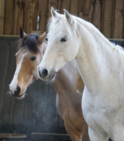 Programme Equi'dact Centre Équestre à Réaumont