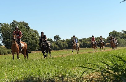 Farm Des Planchettes, Centre Equestres à Port-Saint-Père