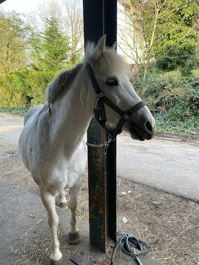 Roubaix Equitation, Centre Equestres à Villeneuve-d'Ascq