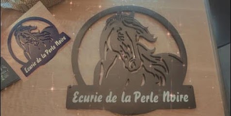 Ecurie de la perle Noire, Pension pour Chevaux à Laudun-l'Ardoise