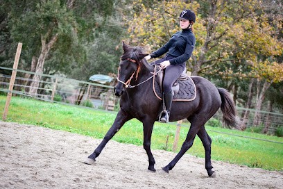 Women Horse, Balade A Cheval Et Poney En Corse, Debourrage, Cours, Stages, Passage De Galop, Centre Equestres à Penta-di-Casinca