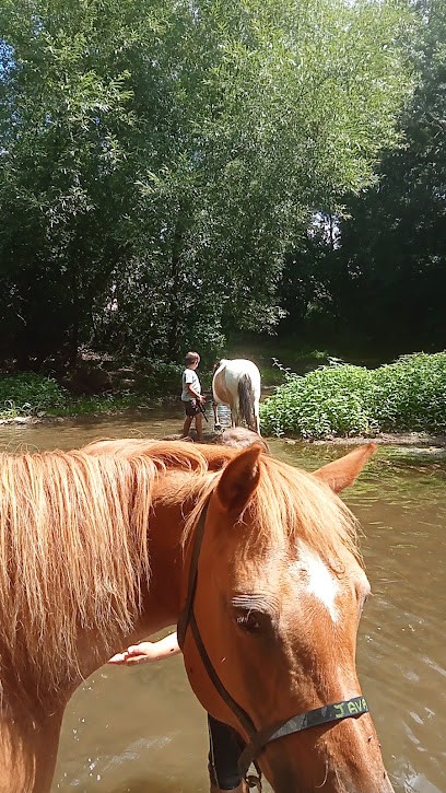 L ECOLE DU CHEVAL, Centre Equestres à Saint-Hilaire-des-Loges