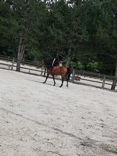 SARL LES ECURIES DE COOLUS, Centre Equestres à Coolus