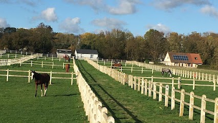 Écuries de Fluquieres / Élevage du burguet, Pension pour Chevaux à Fluquières