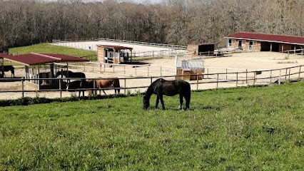 L'Ecurie Active du Puyos, Pension pour Chevaux à Saint-Martin-de-Hinx