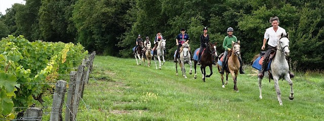 Cheval Voyages - Gîtes Ferme d'Hermance, Centre Equestres à Lougratte