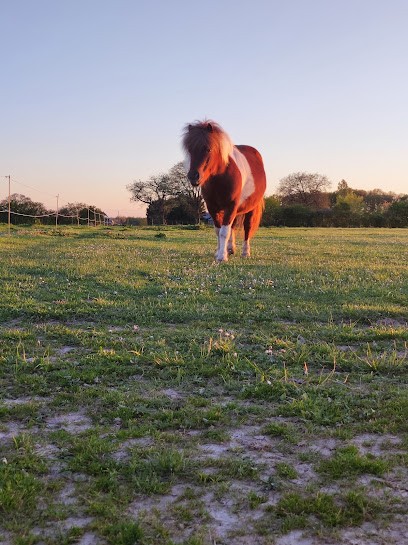 Poney Club Annabelle, Centre Equestres à Sennevières