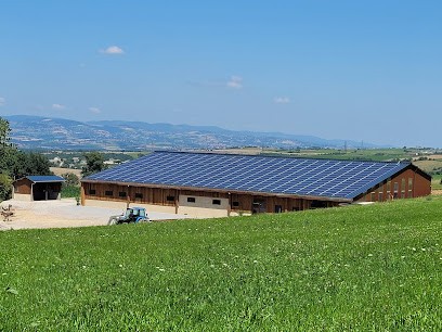 B.L.A.C FARM ORIOL, Pension pour Chevaux aux Haies