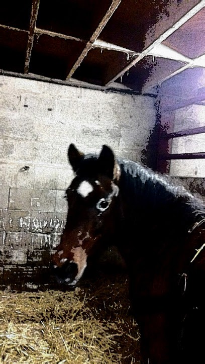 LES TANCREDE, Centre Equestres à Hauteville-la-Guichard
