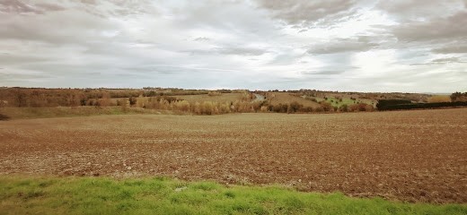 PONEY CLUB DE LA SEILLONNE, Centre Equestres à Pin-Balma