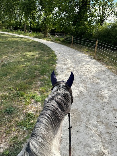 Les Écuries De Champlong, Centre Equestres à Villerest