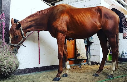 Les Ecuries Du Bosc Clar, Centre Equestres à Chis