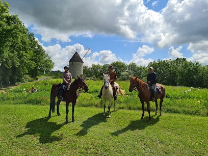 ferme équestre des abrons, Centre Equestres à Pailloles