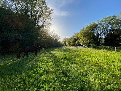 Écurie De Rognes, Pension Pour Chevaux à Rognes